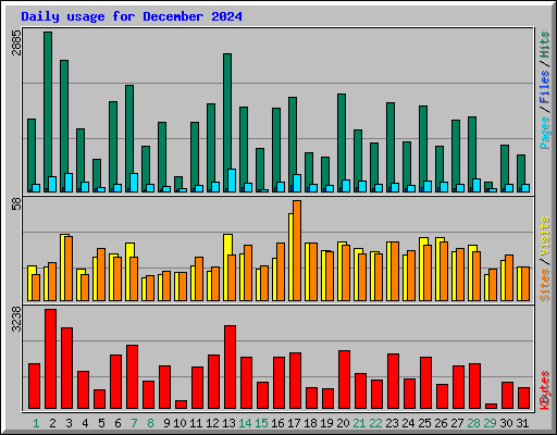 Daily usage for December 2024
