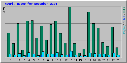 Hourly usage for December 2024