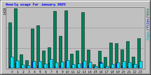 Hourly usage for January 2025