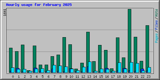 Hourly usage for February 2025