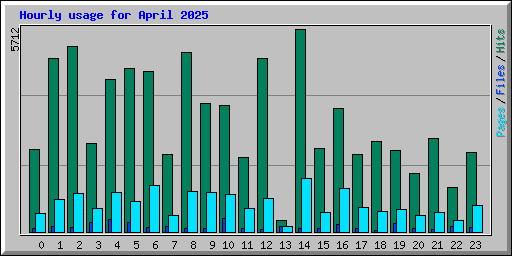 Hourly usage for April 2025