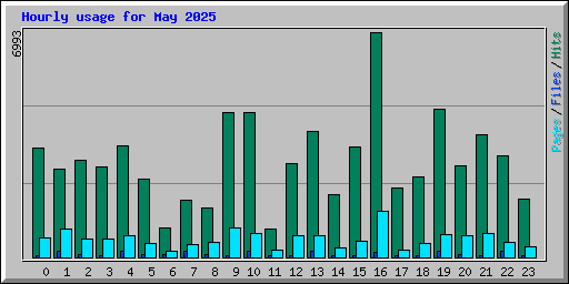 Hourly usage for May 2025