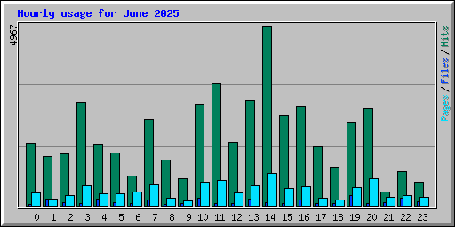 Hourly usage for June 2025