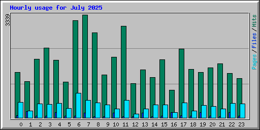 Hourly usage for July 2025