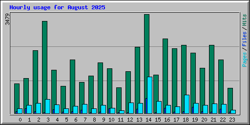 Hourly usage for August 2025
