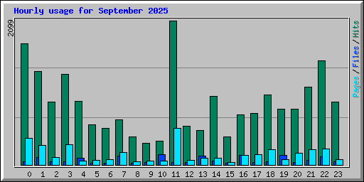 Hourly usage for September 2025