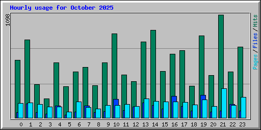 Hourly usage for October 2025