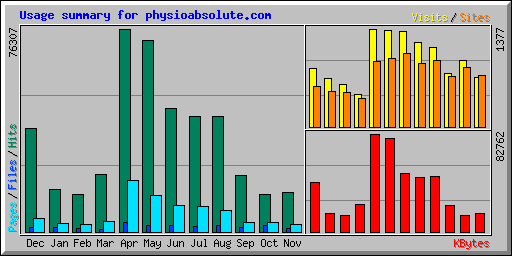 Usage summary for physioabsolute.com
